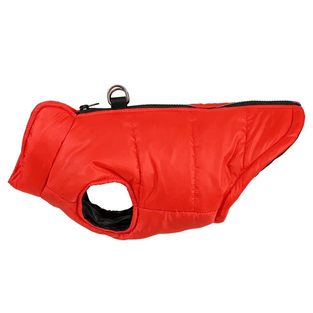 Warm Winter Dog Clothes | XS-2XL Available