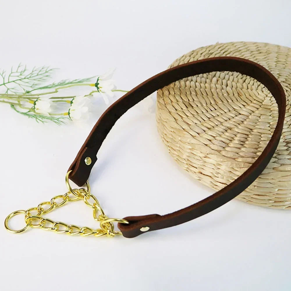 No Pull Leather Martingale Dog Collar