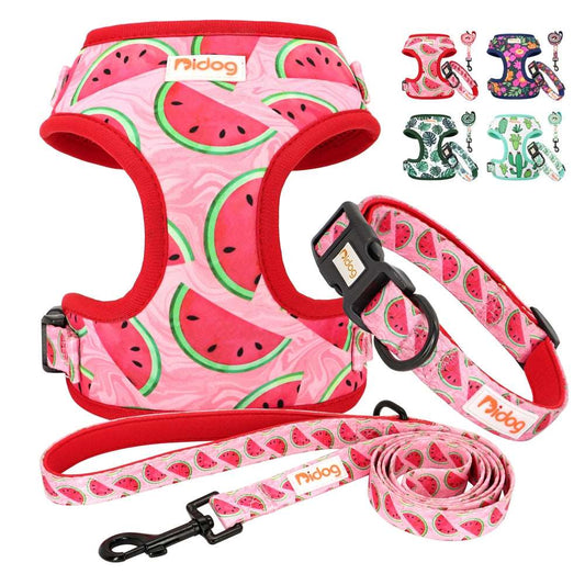 Nylon Adjustable Dog Collar Set | Soft Mesh