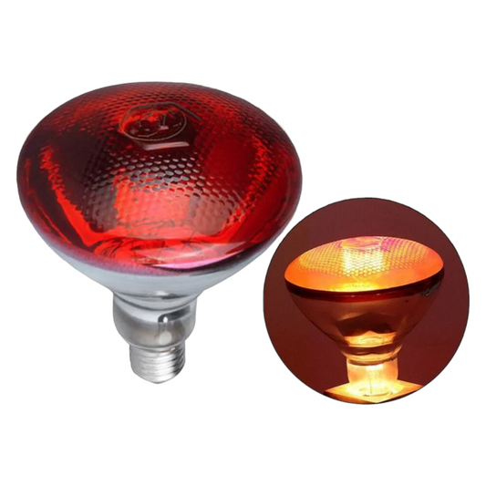 Infrared Heating Bulb Lamp 220V | 100W-275W