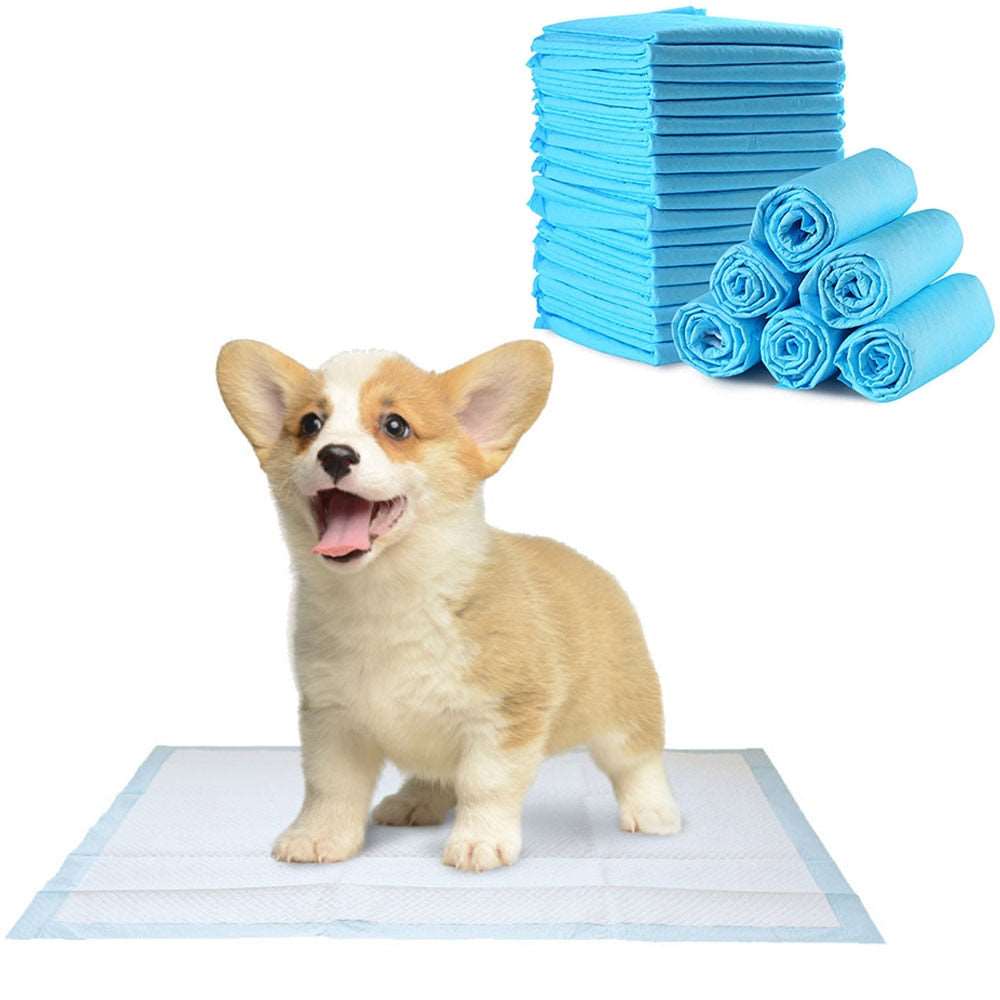 Super Absorbent Dog Pee Pads | 10 Pack
