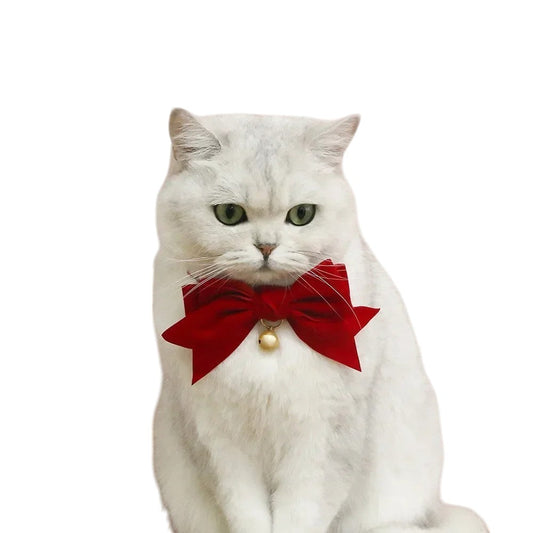 Soft Velvet Cat Collar with Bow