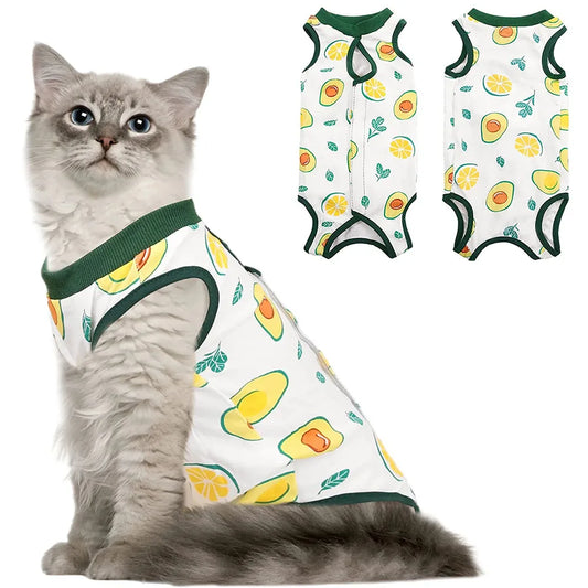 Cat Recovery Suit | E-Collar Alternative