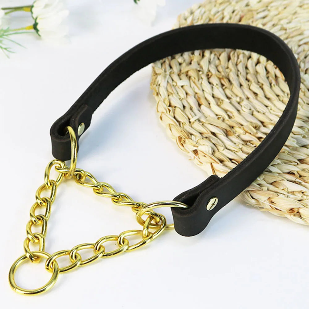 No Pull Leather Martingale Dog Collar