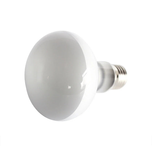 Reptile Heat Lamp UVA+UVB | Adjustable Power