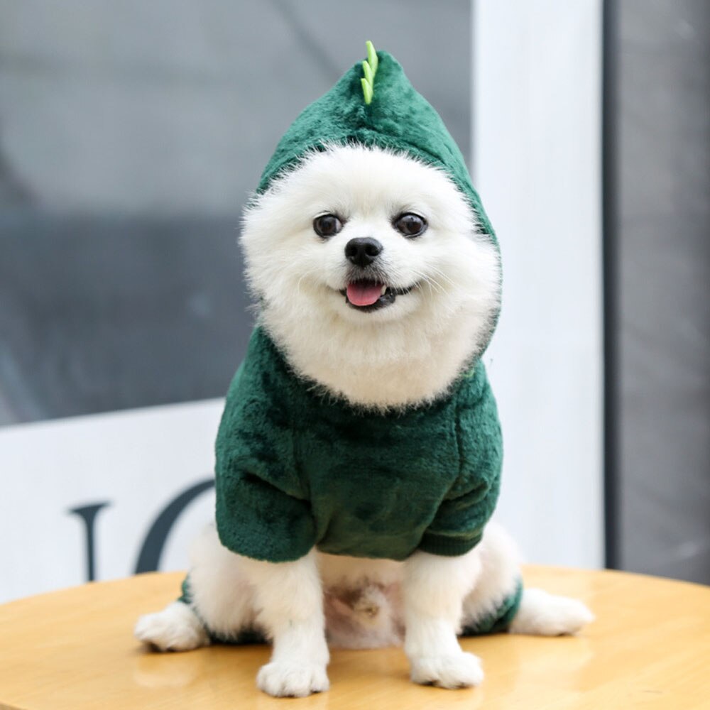 Cute Dinosaur Pet Hoodie | Warm Fleece Costume