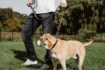No Pull Leather Martingale Dog Collar