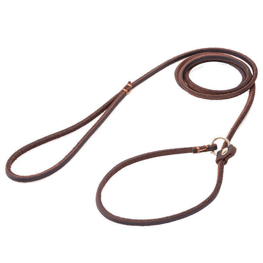 Soft Slim Leather Dog Slip Lead | 120cm - 150cm