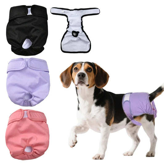 Reusable Female Dog Diapers | XS - XL Available