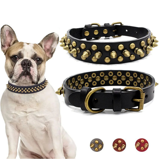 Spiked Dog Collar with Mushroom Rivets