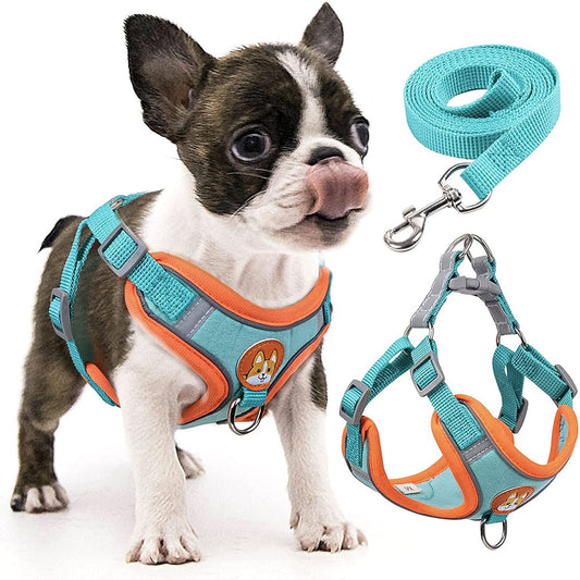 Reflective Step-in Dog Harness & Leash Set