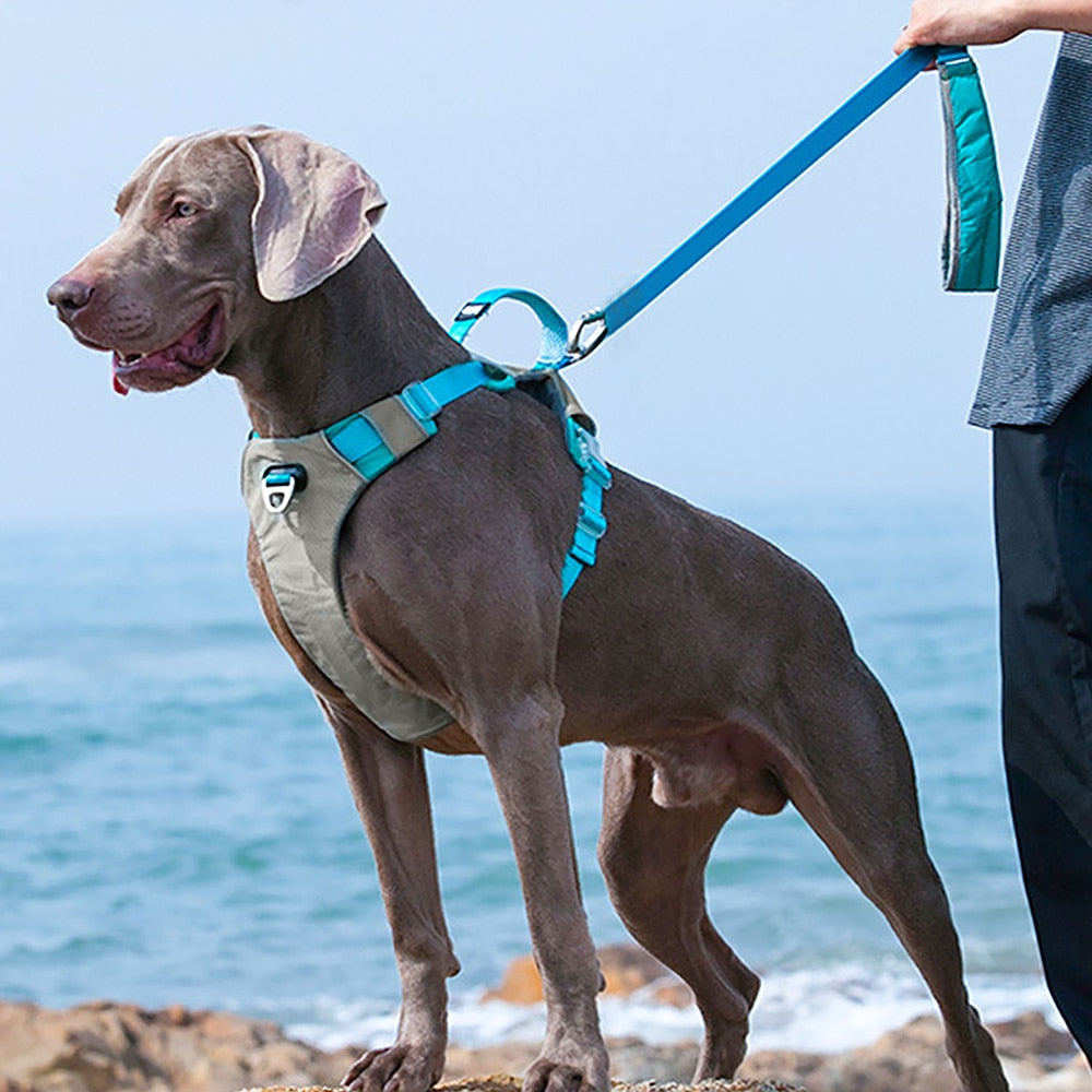 Large Dog Harness | Breathable Mesh Vest