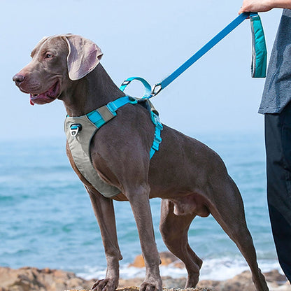Large Dog Harness | Breathable Mesh Vest