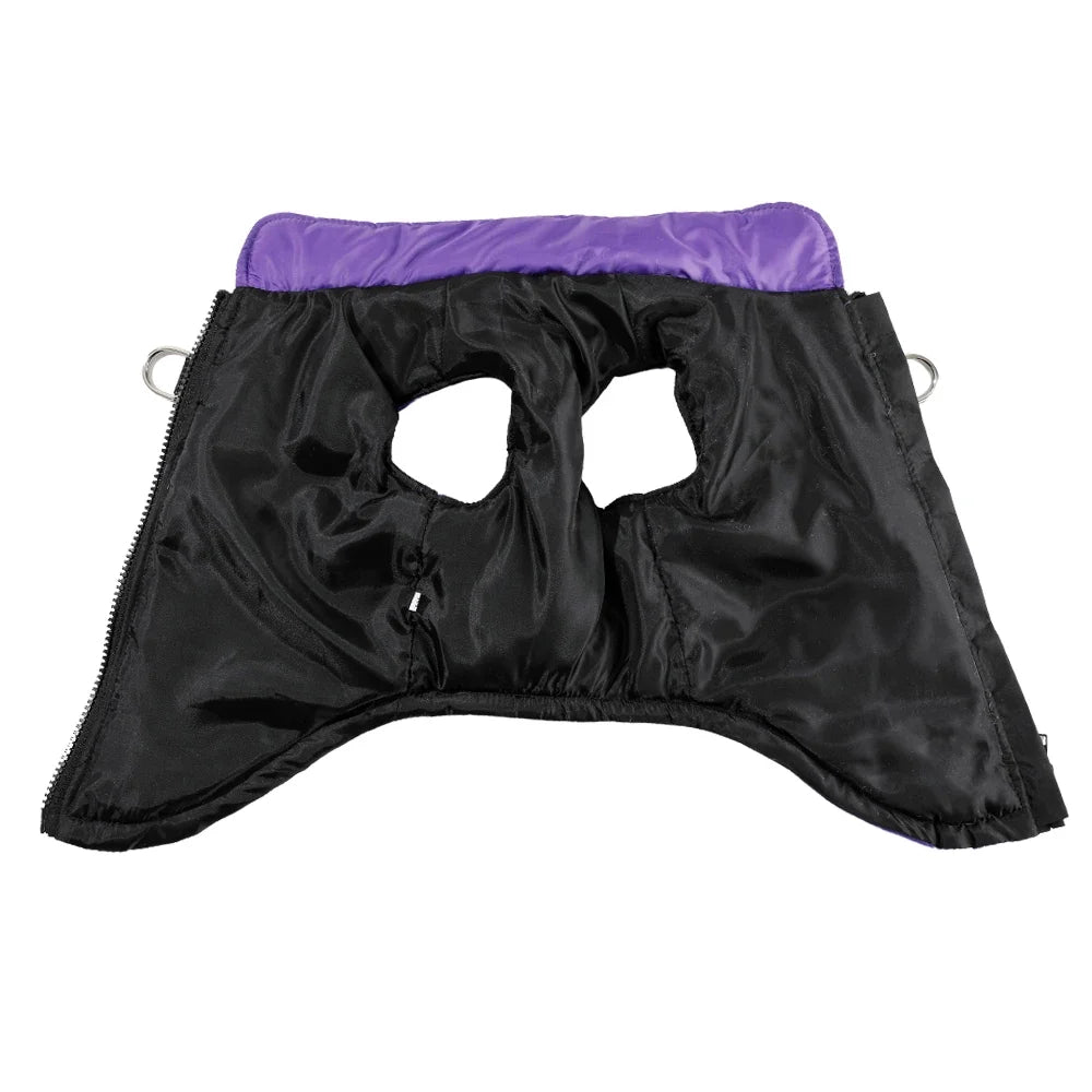 Warm Winter Dog Clothes | XS-2XL Available