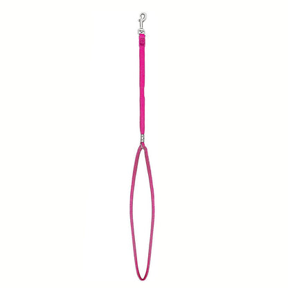 Heavy Duty Nylon Pet Grooming Noose