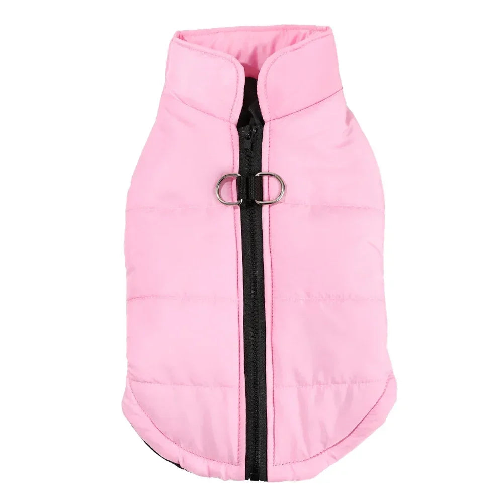 Warm Winter Dog Clothes | XS-2XL Available
