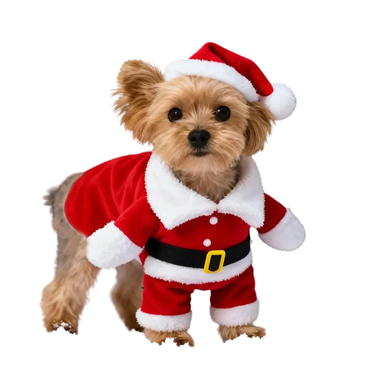 Dog Santa Claus Outfit | XS - XL Available