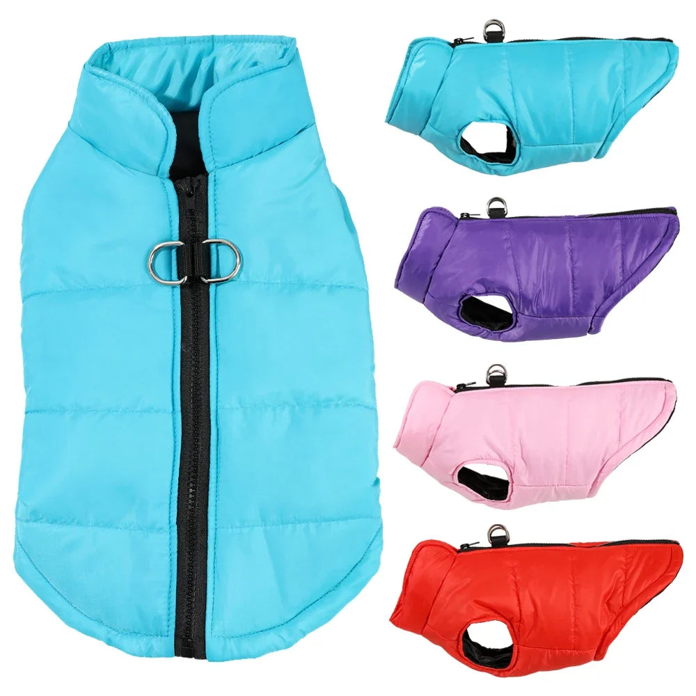 Warm Winter Dog Clothes | XS-2XL Available