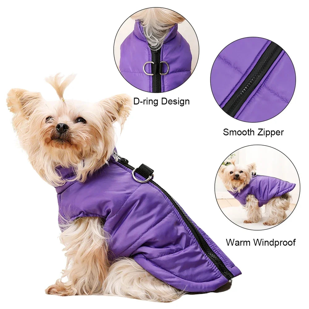 Warm Winter Dog Clothes | XS-2XL Available