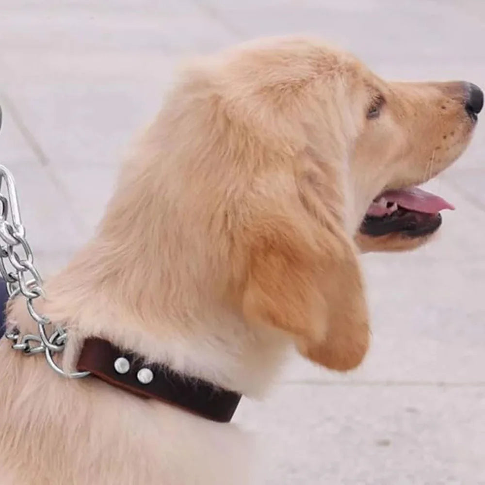 No Pull Leather Martingale Dog Collar