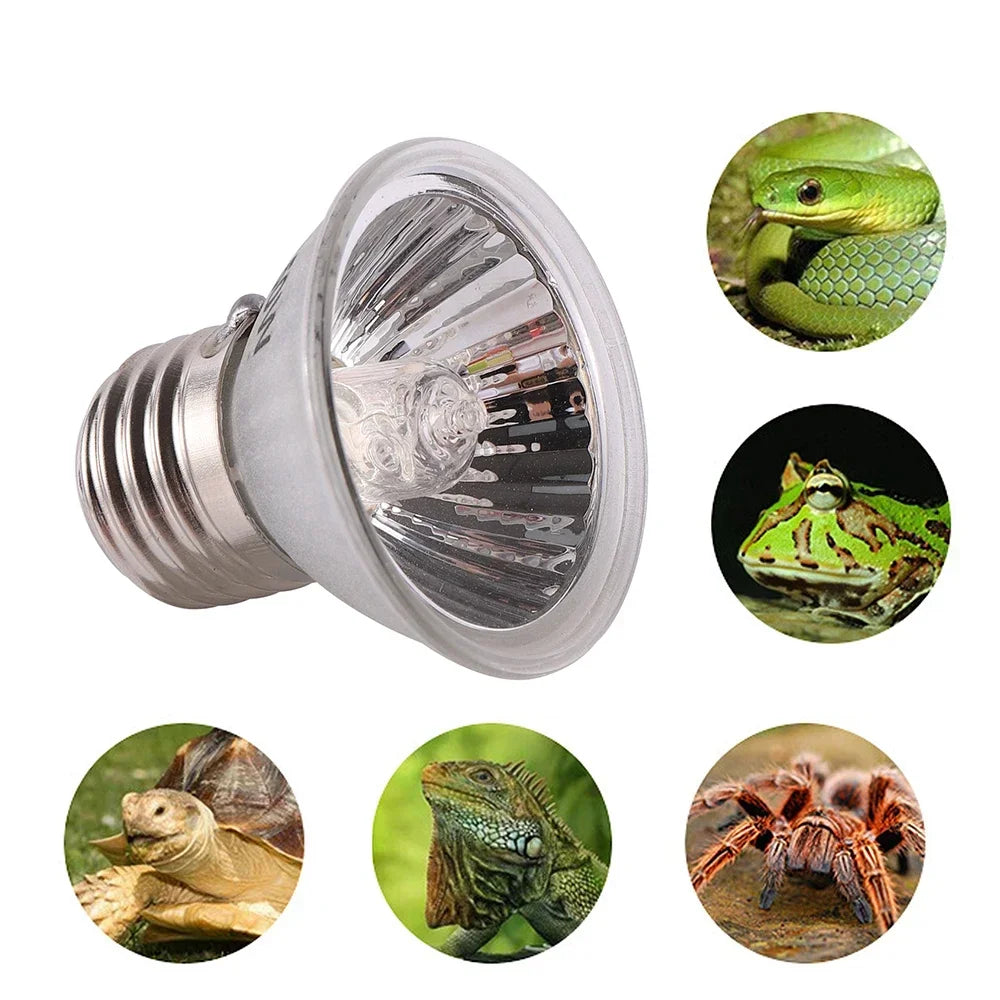 Amphibian Reptile E27 UVB Bulb | 25W-100W