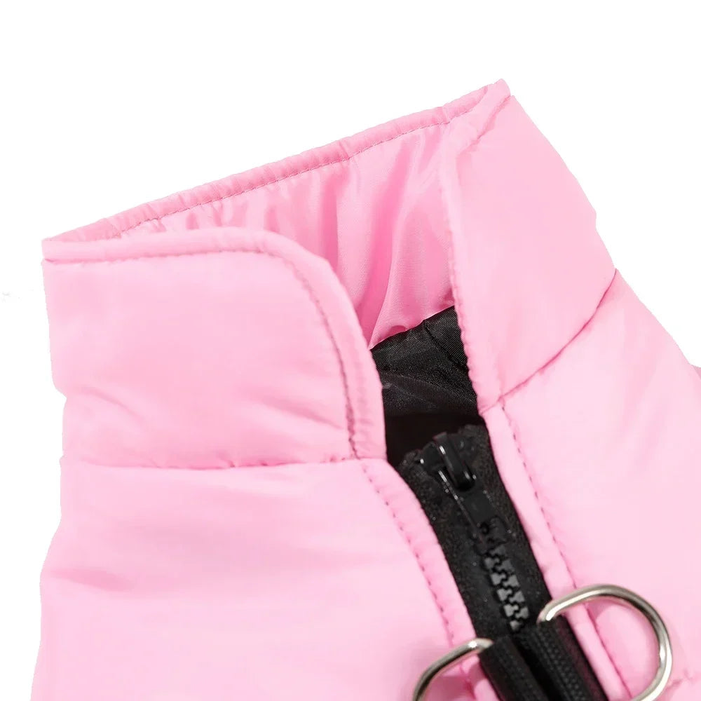 Warm Winter Dog Clothes | XS-2XL Available