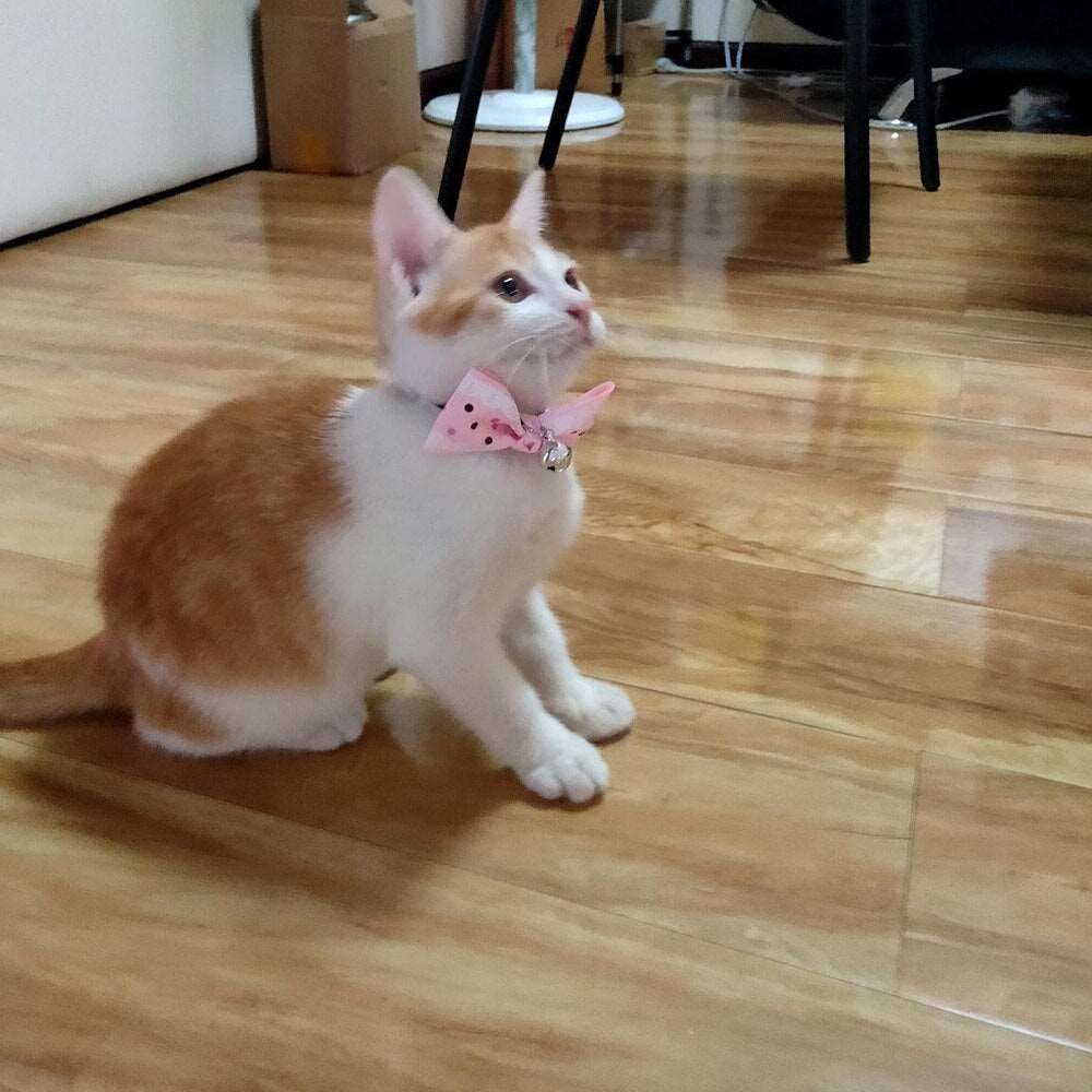 Cat & Small Dog Bow Tie Collar | Breakaway