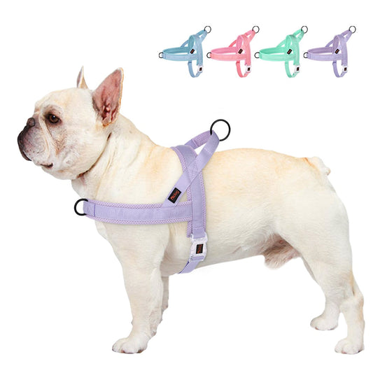 Adjustable Nylon Dog Harness | Quick-Release
