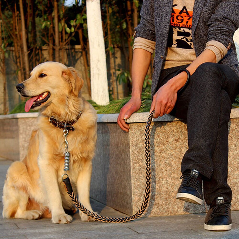Braided Leather Dog Leash | No Pull Design
