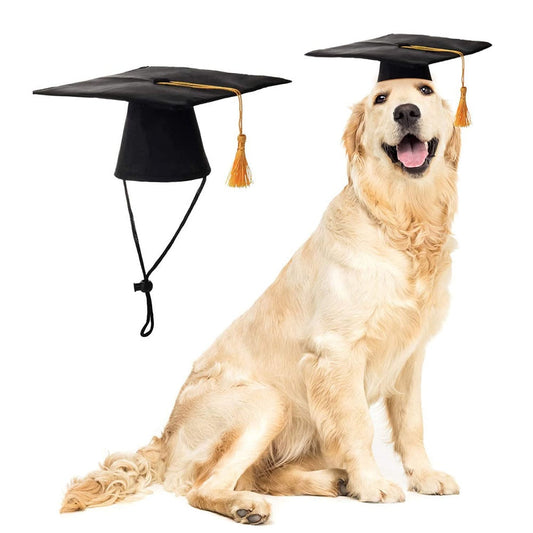Pet Graduation Cap with Tassel
