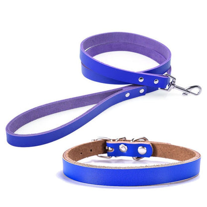 Leather Dog Collar & Leash Set | Adjustable