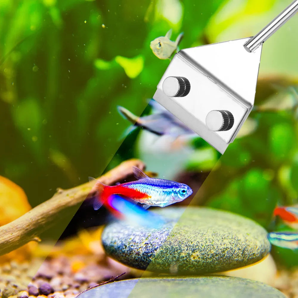 Stainless Steel Algae Scraper | Dual-Purpose