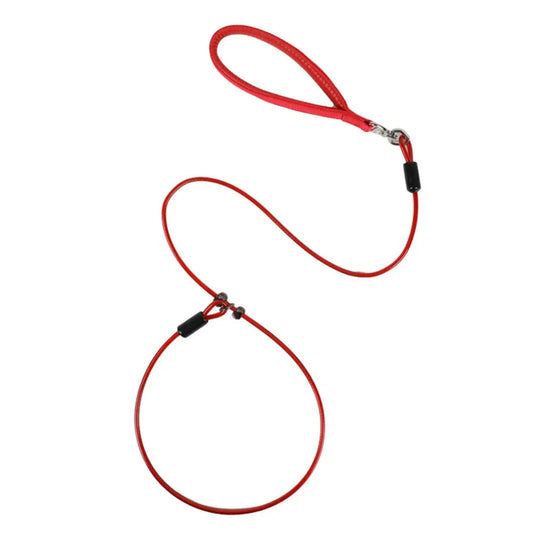 Stainless Steel Slip Leads with Soft Handle