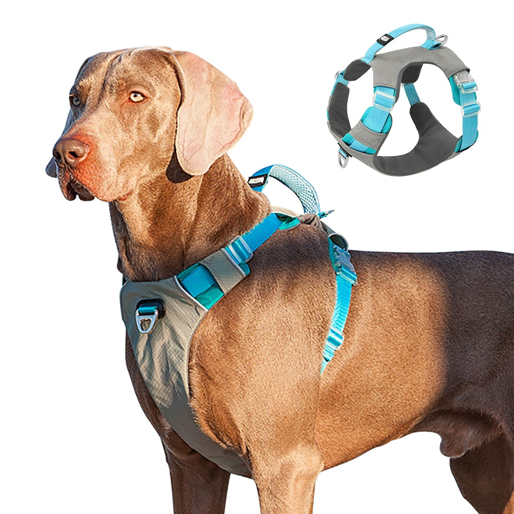 Large Dog Harness | Breathable Mesh Vest
