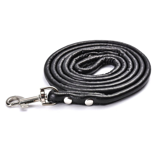 Round Colourful PU Rolled Dog Leash | Durable