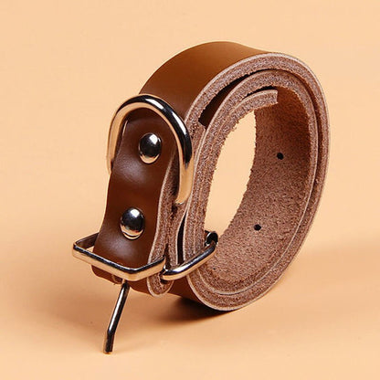Leather Dog Collar & Leash Set | Adjustable
