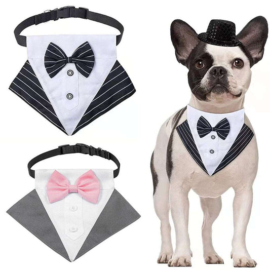 Elegant Tuxedo Dog Bandana Collar