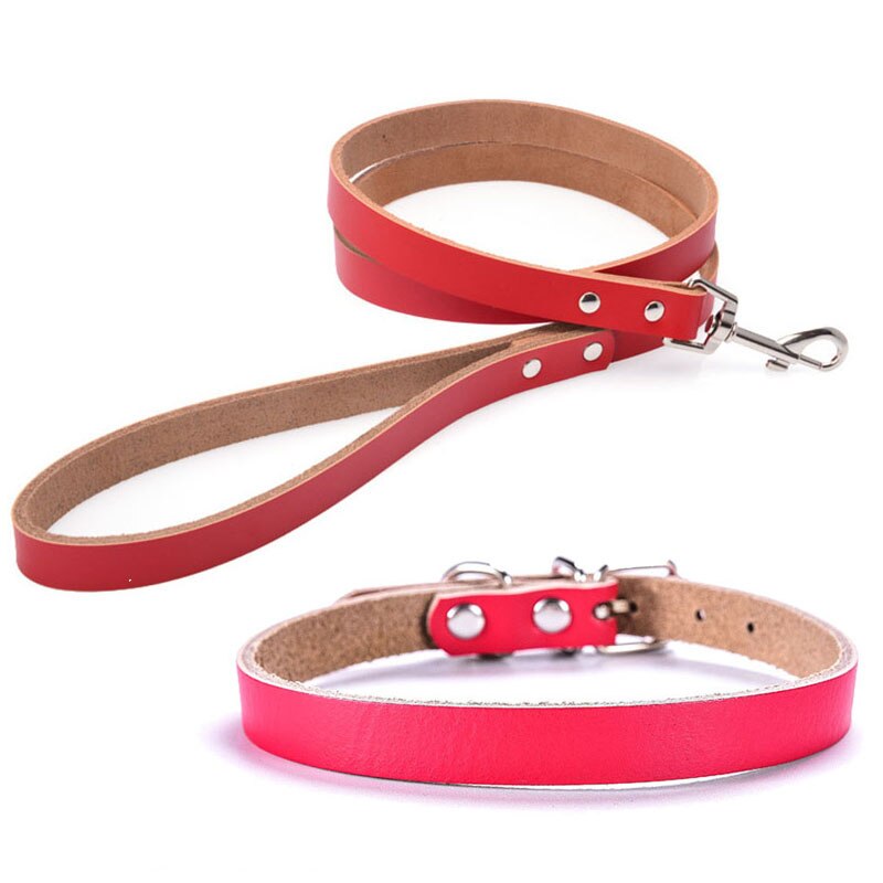Leather Dog Collar & Leash Set | Adjustable