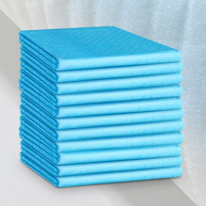 Super Absorbent Dog Pee Pads | 10 Pack