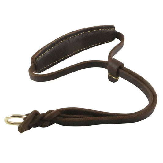 Leather Martingale Dog Collar | Adjustable & Soft