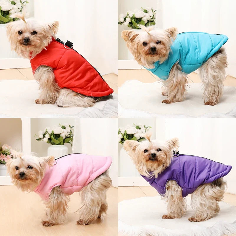 Warm Winter Dog Clothes | XS-2XL Available