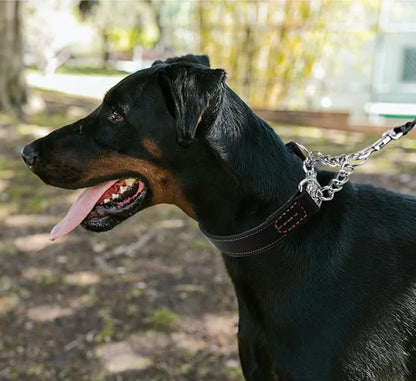 No Pull Leather Martingale Dog Collar
