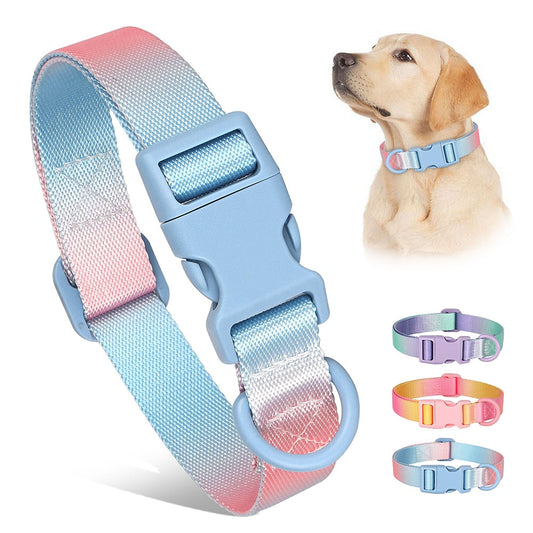 Cute Nylon Dog Collar | Colourful Print