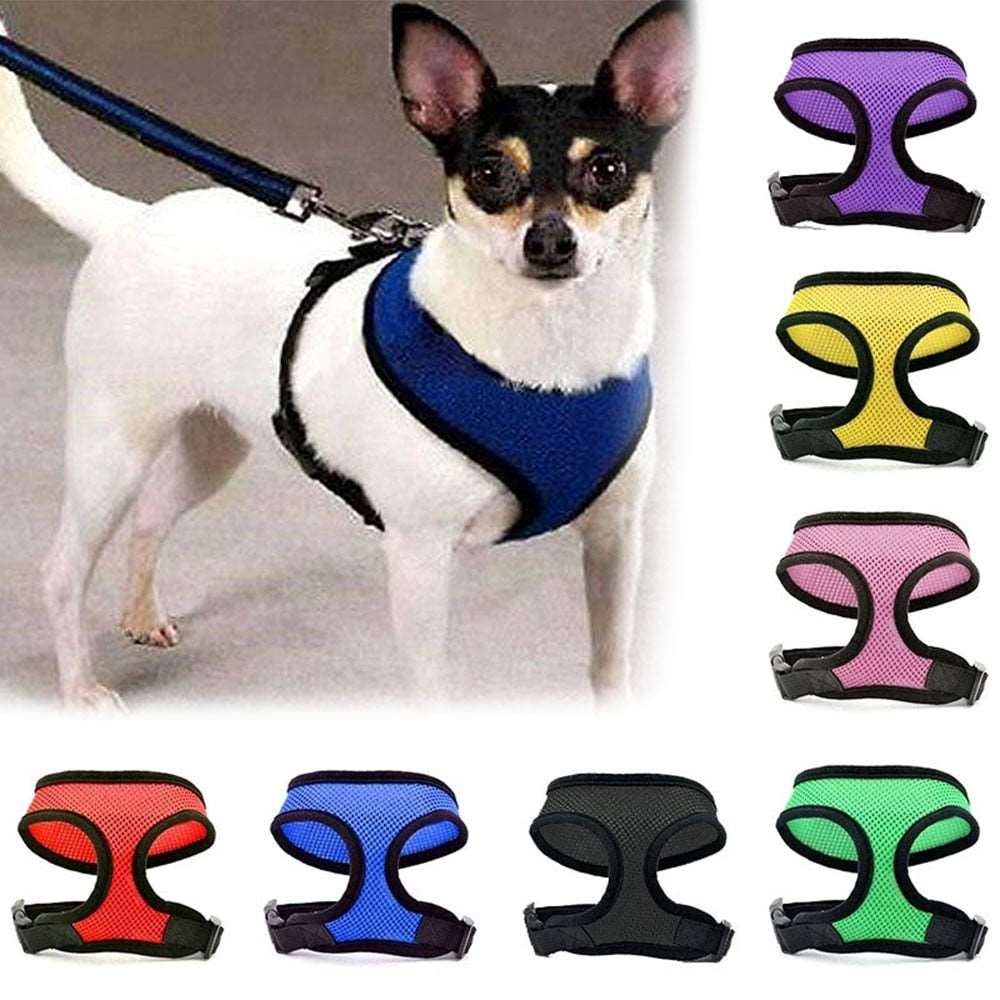 Adjustable Soft Dog Harness | Breathable Mesh