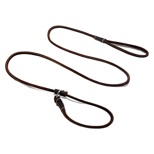 Handmade Leather Dog Slip Lead Leash