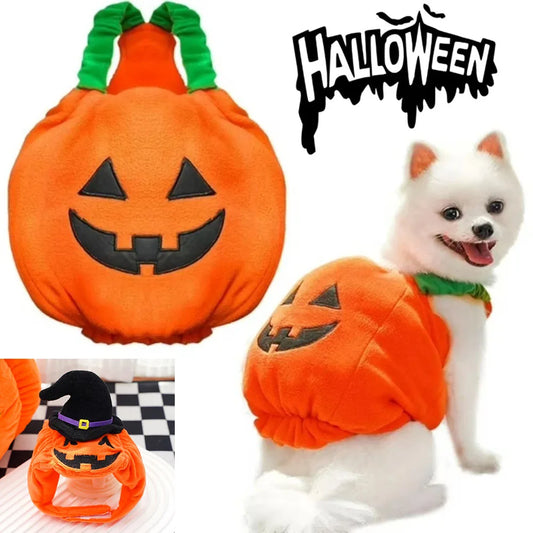 Creative Dog Pumpkin Costume