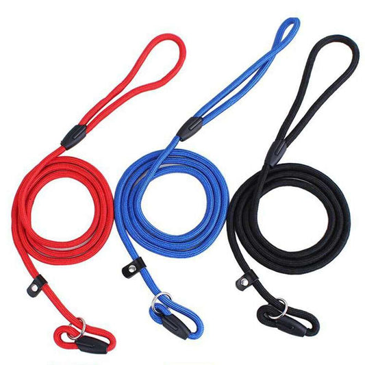 Nylon Slip Lead Dog Leash | Adjustable
