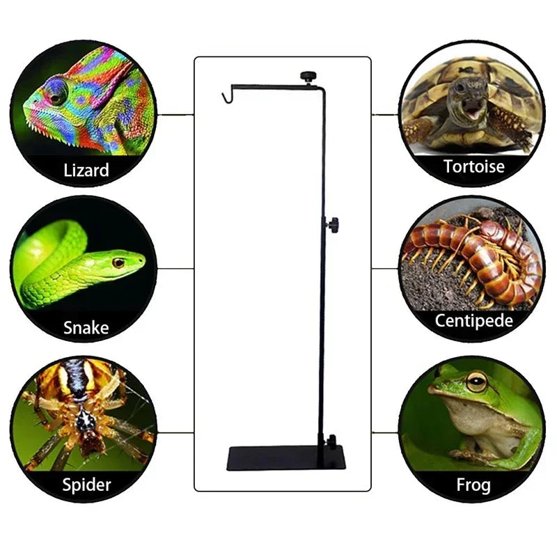 Adjustable Reptile Lamp Stand | Telescopic