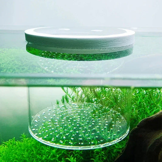 Floating Acrylic Fish Tank Isolation Box