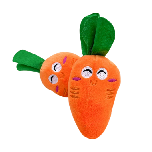 Puppy Dog Plush Squeaky Toy for Chewers